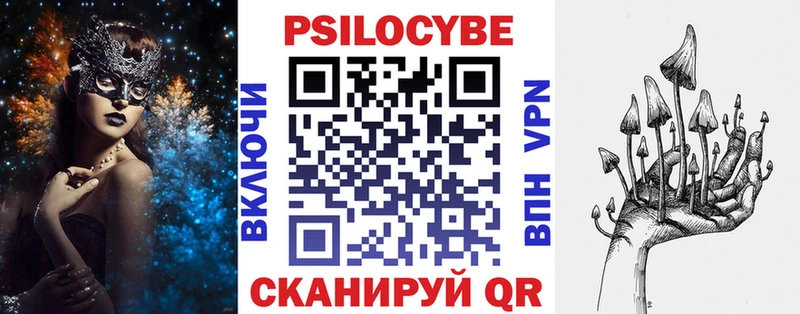 Купить где  Шагонар  Галлюциногенные грибы GOLDEN TEACHER 